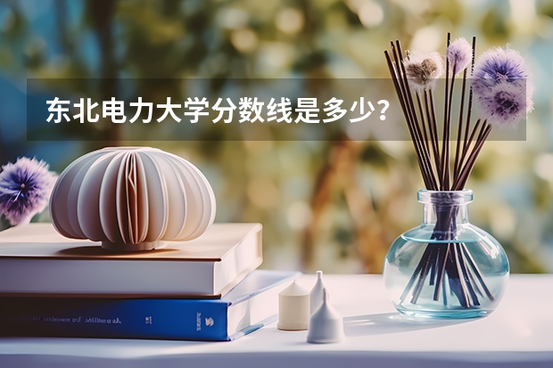 东北电力大学分数线是多少？