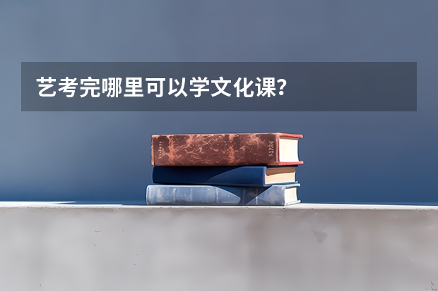 艺考完哪里可以学文化课？