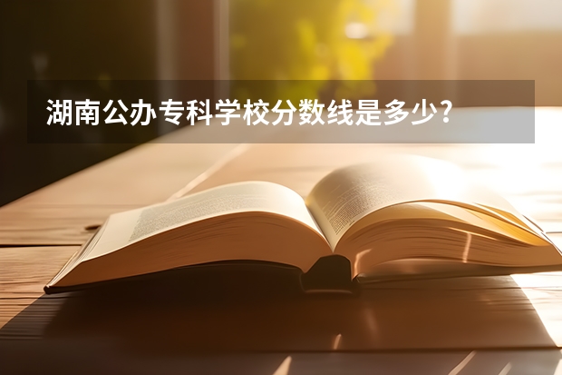 湖南公办专科学校分数线是多少?