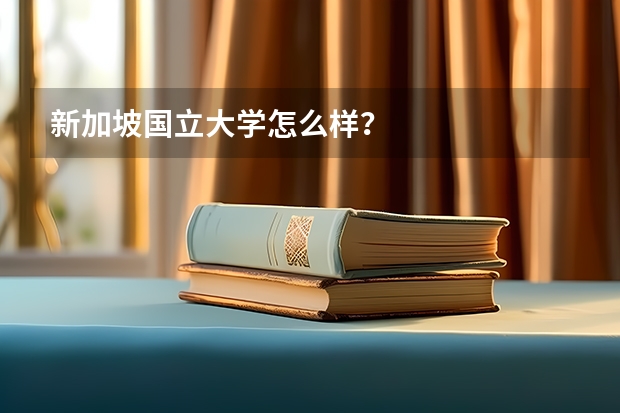 新加坡国立大学怎么样？