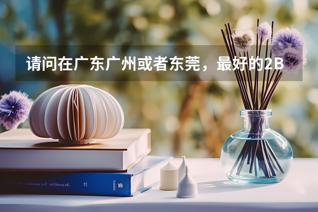 请问在广东广州或者东莞，最好的2B大学有哪些，谢谢