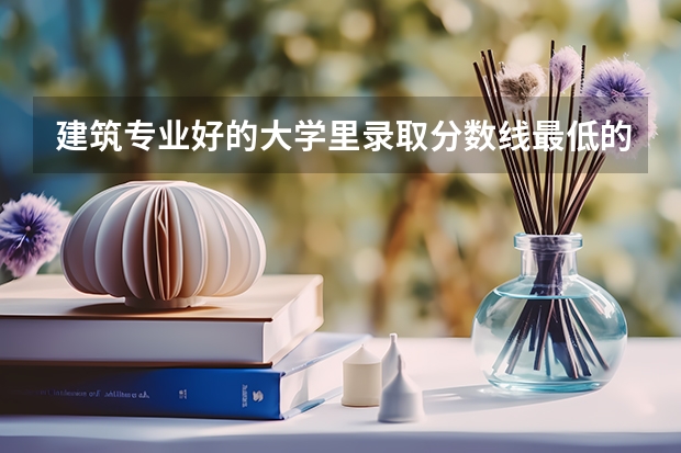 建筑专业好的大学里录取分数线最低的（建筑设计学校排名）