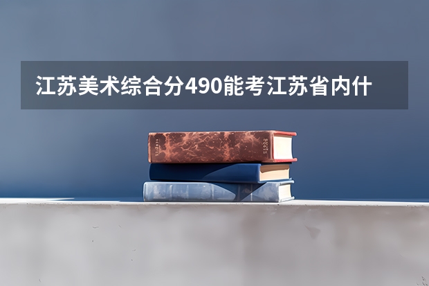 江苏美术综合分490能考江苏省内什么大学？