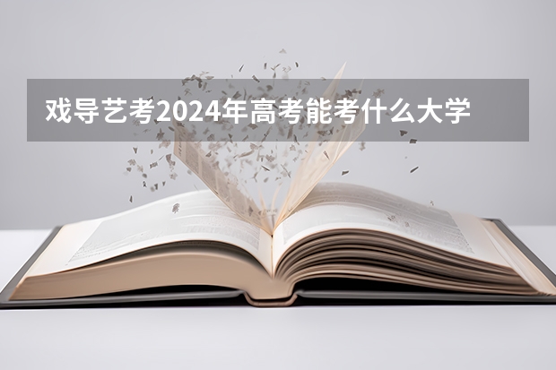 戏导艺考2024年高考能考什么大学？