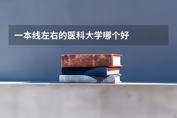 一本线左右的医科大学哪个好