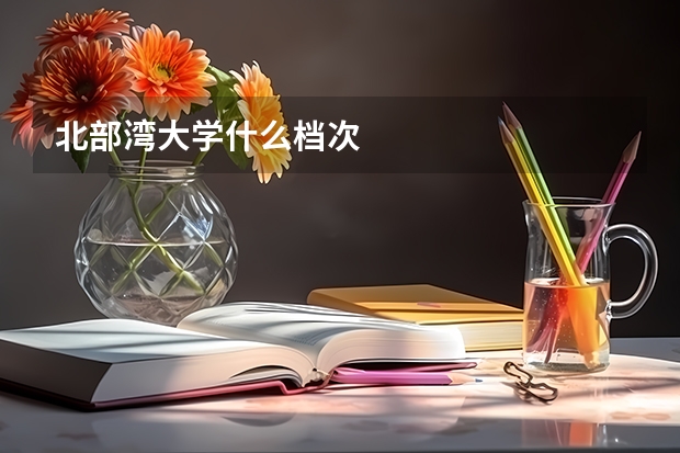 北部湾大学什么档次