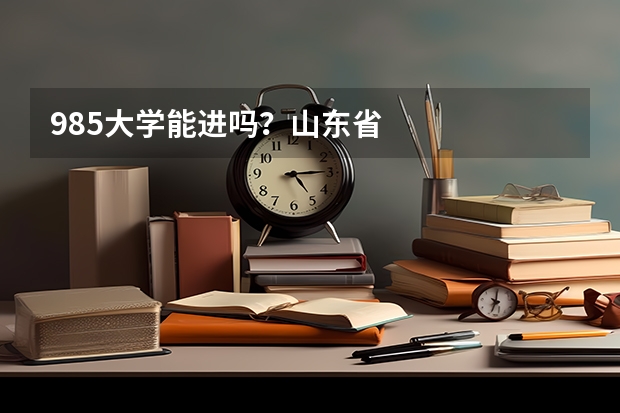 985大学能进吗？山东省