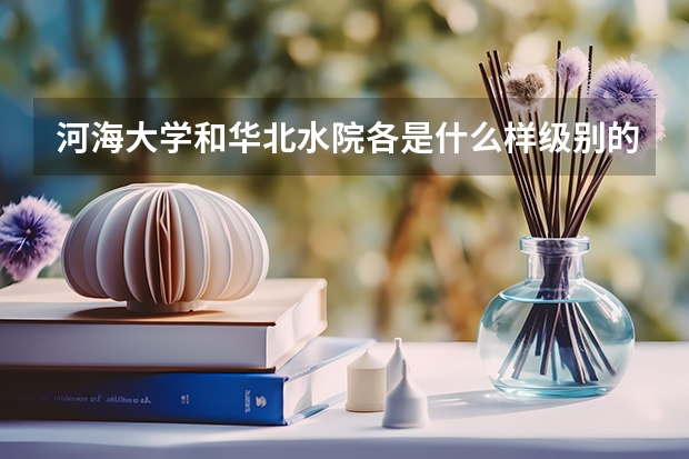 河海大学和华北水院各是什么样级别的学校？