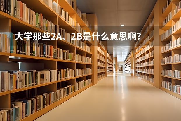 大学那些2A、2B是什么意思啊？